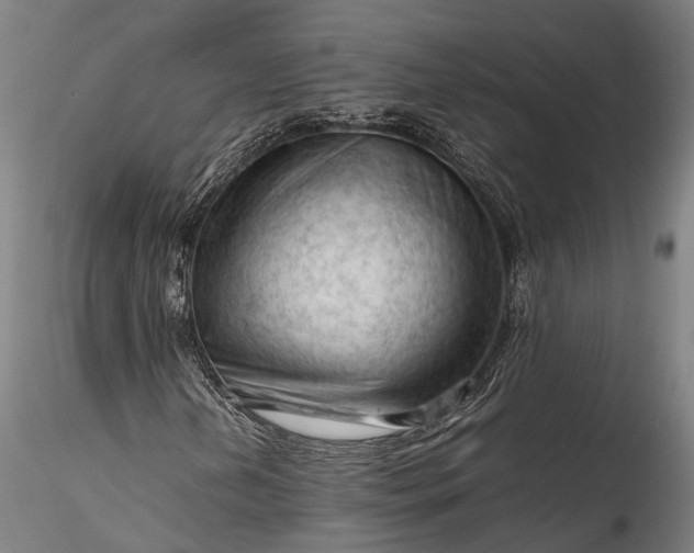 X0000115801202200911271242