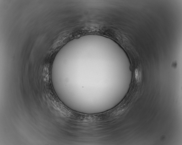 X0000115801203200911271242
