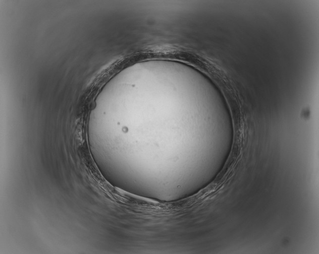 X0000115801205200911271243