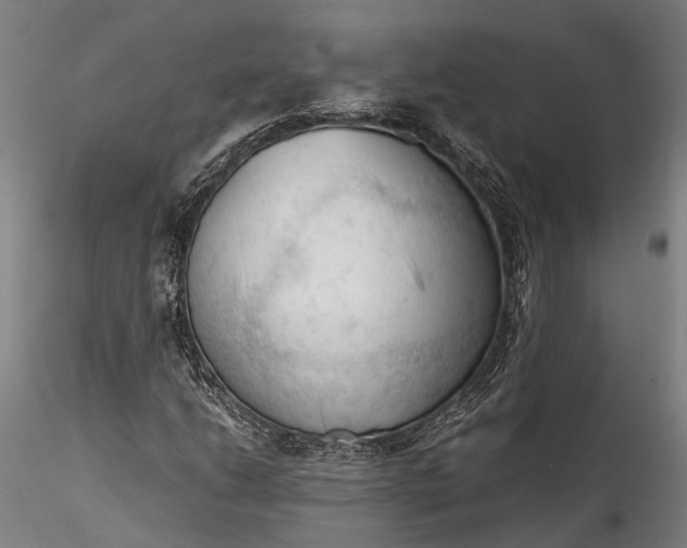 X0000115801206200911271243