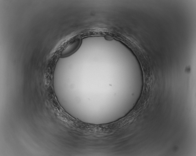 X0000115801207200911271243