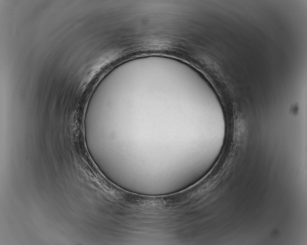 X0000115801210200911271243