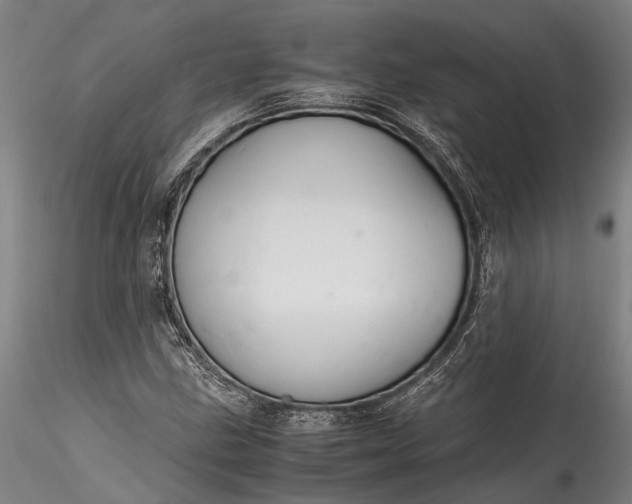 X0000115801211200911271243