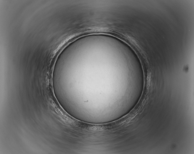 X0000115801212200911271243