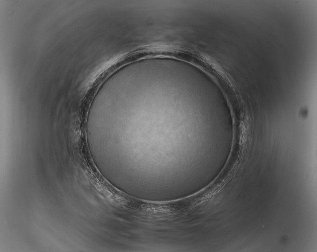 X0000115801213200911271243