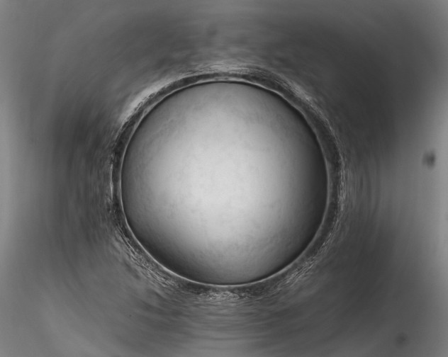 X0000115801214200911271243