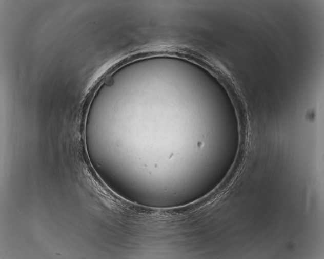 X0000115801216200911271243
