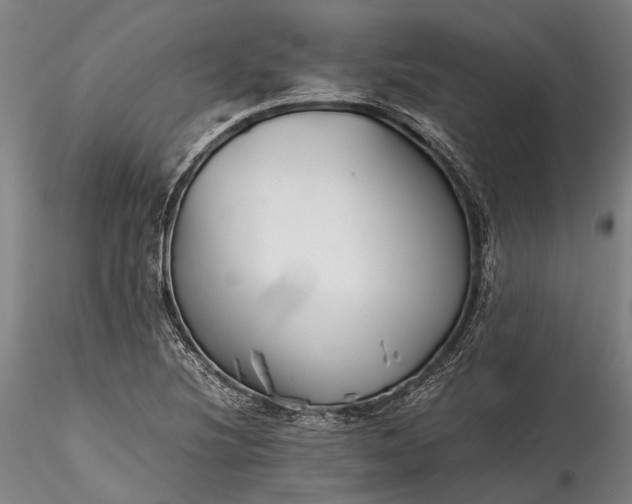 X0000115801220200911271243