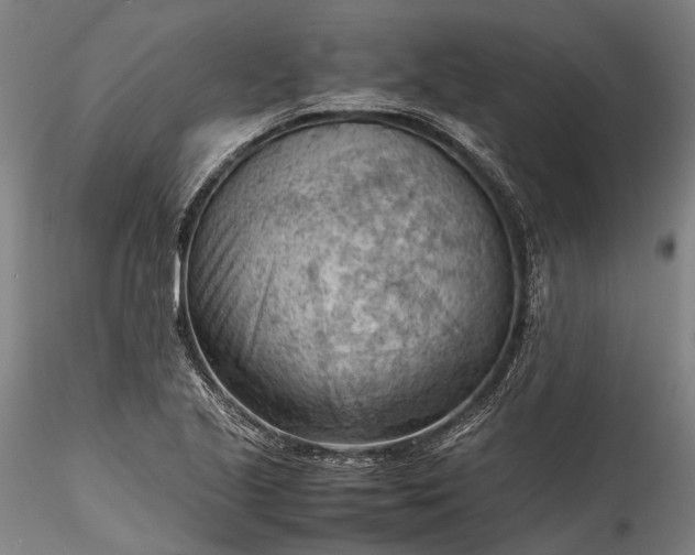 X0000115801221200911271243