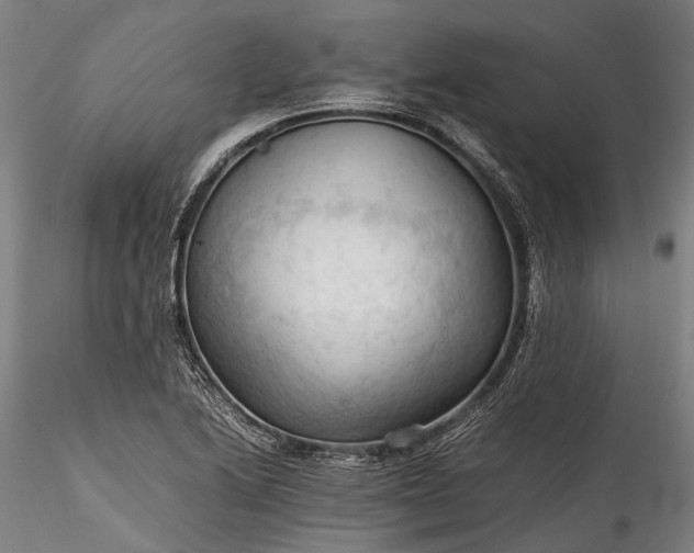 X0000115801222200911271243