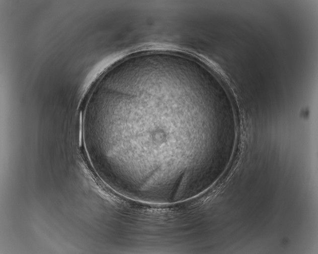 X0000115801223200911271243