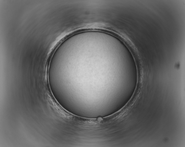X0000115801224200911271243