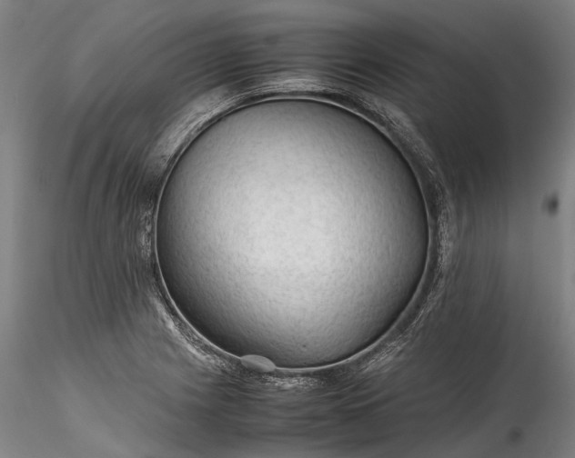 X0000115801225200911271243