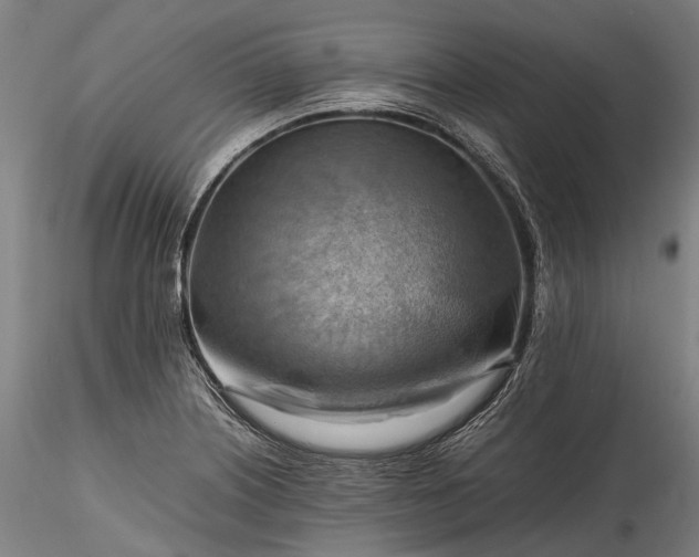 X0000115801226200911271243
