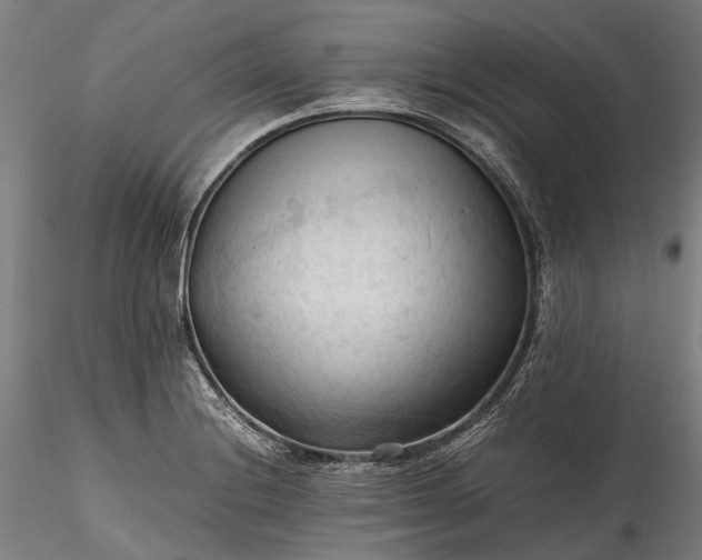 X0000115801228200911271243