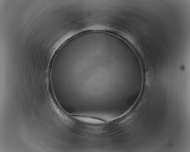 X0000115801229200911271243