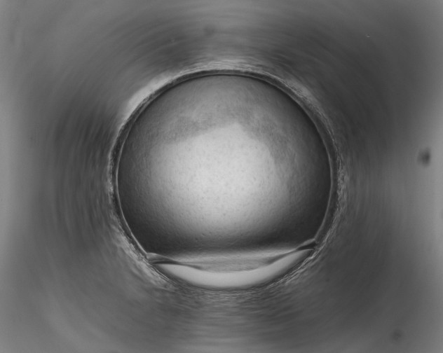 X0000115801230200911271243