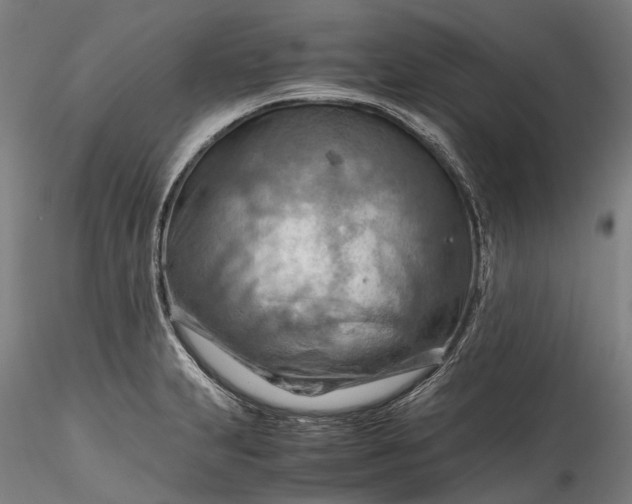 X0000115801231200911271243