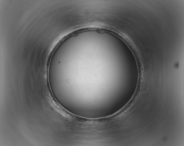 X0000115801232200911271243