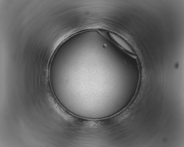 X0000115801234200911271243