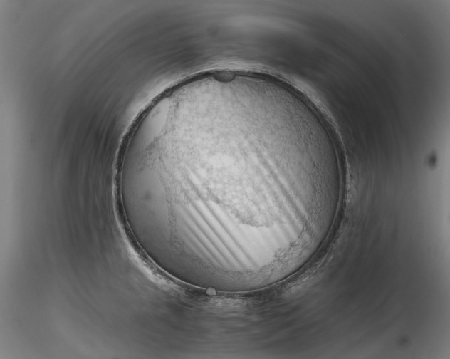 X0000115801237200911271243