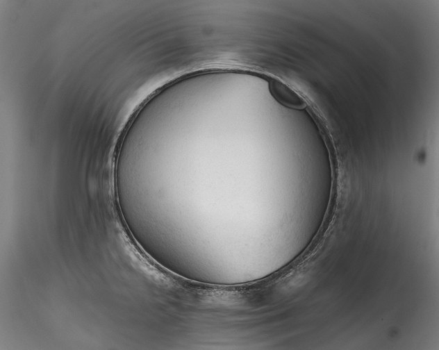 X0000115801238200911271243