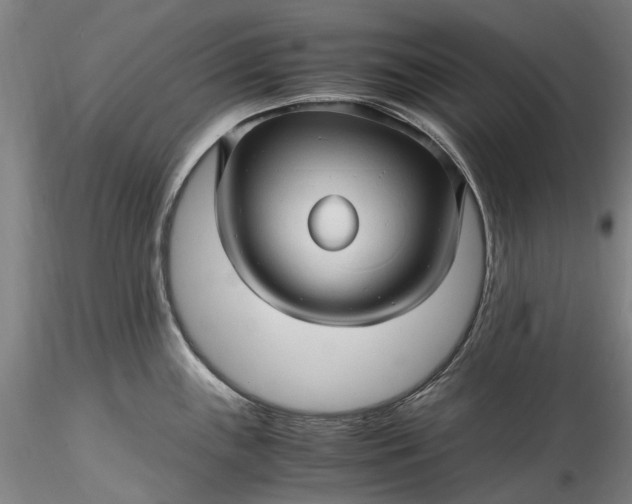 X0000115801243200911271243