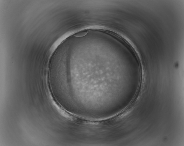 X0000115801245200911271243