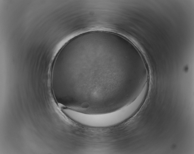 X0000115801246200911271243