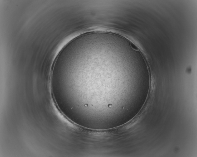 X0000115801247200911271243