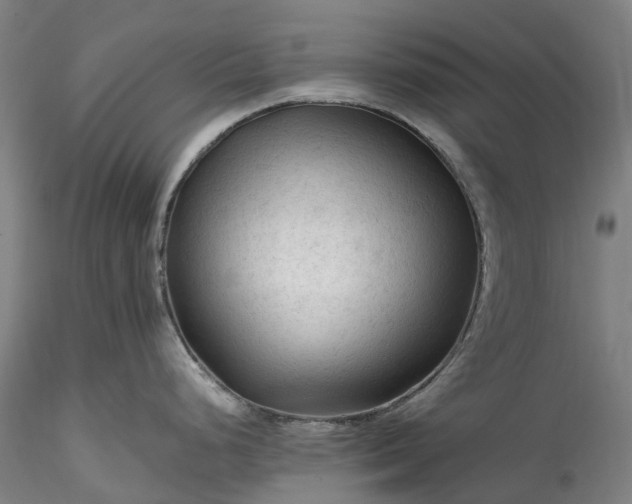 X0000115801248200911271243