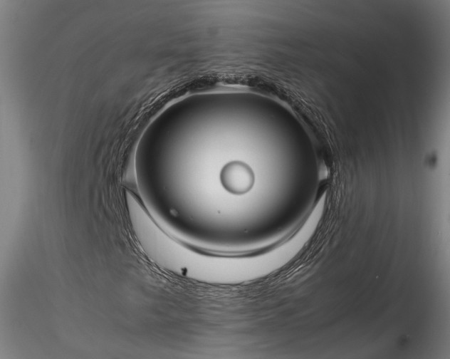 X0000115801249200911271242