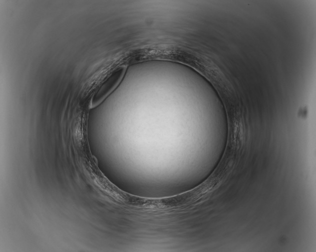 X0000115801250200911271242
