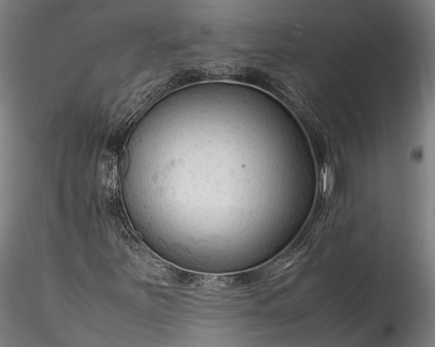X0000115801251200911271242