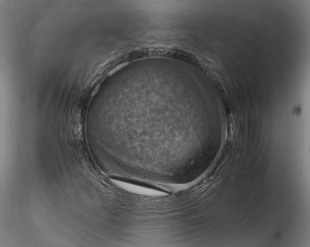 X0000115801252200911271242