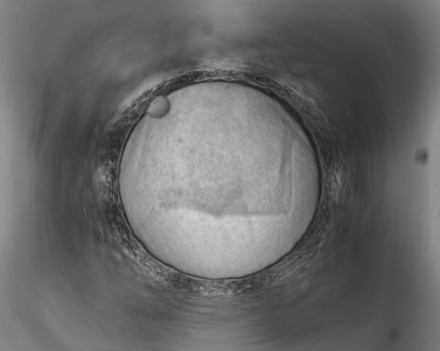 X0000115801254200911271242