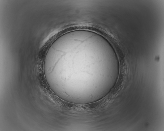 X0000115801255200911271242