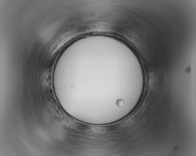 X0000115801258200911271242