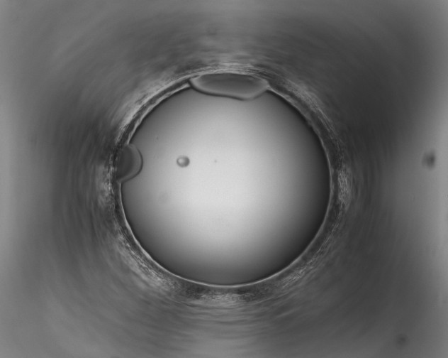 X0000115801260200911271242