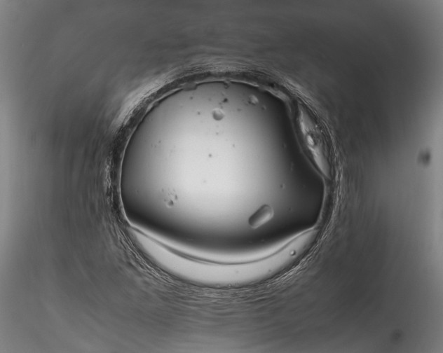 X0000115801261200911271242
