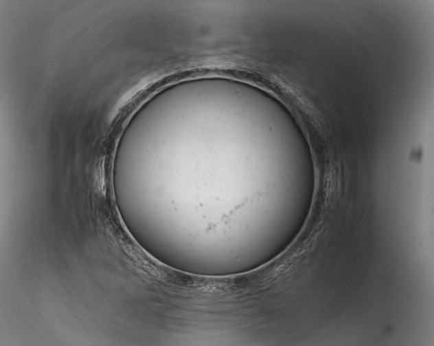X0000115801262200911271242