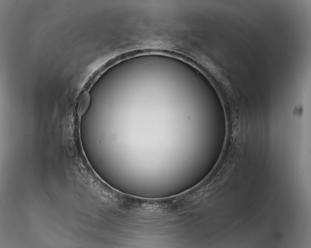 X0000115801264200911271242