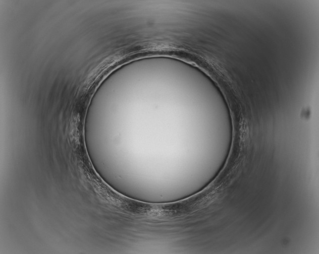 X0000115801265200911271242