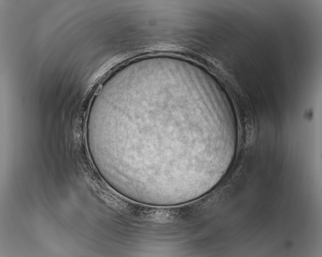 X0000115801266200911271242
