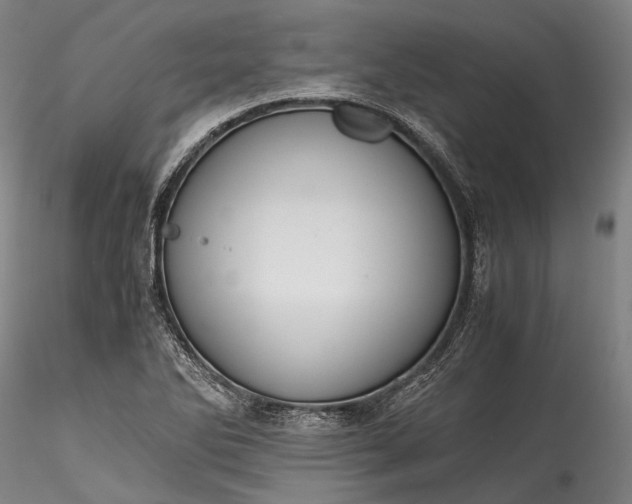 X0000115801270200911271242