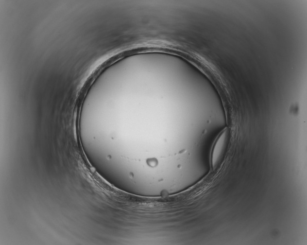 X0000115801272200911271242