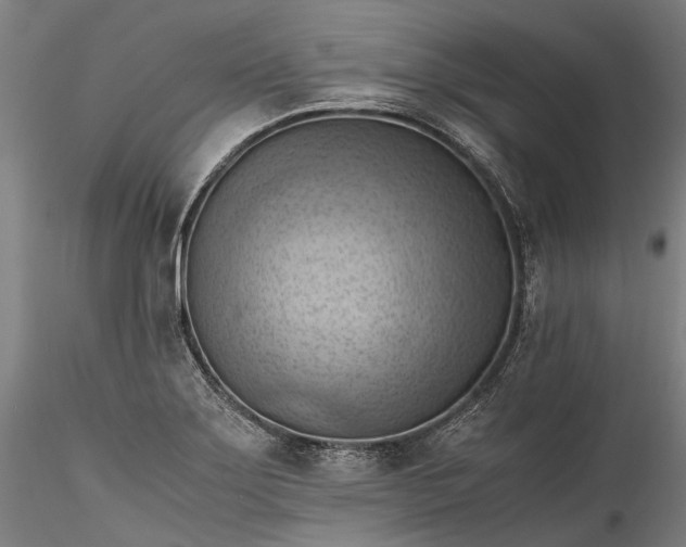 X0000115801275200911271242