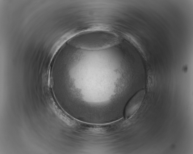 X0000115801276200911271242