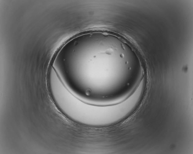 X0000115801277200911271242