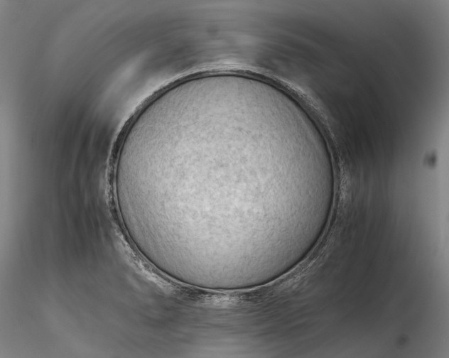 X0000115801278200911271242